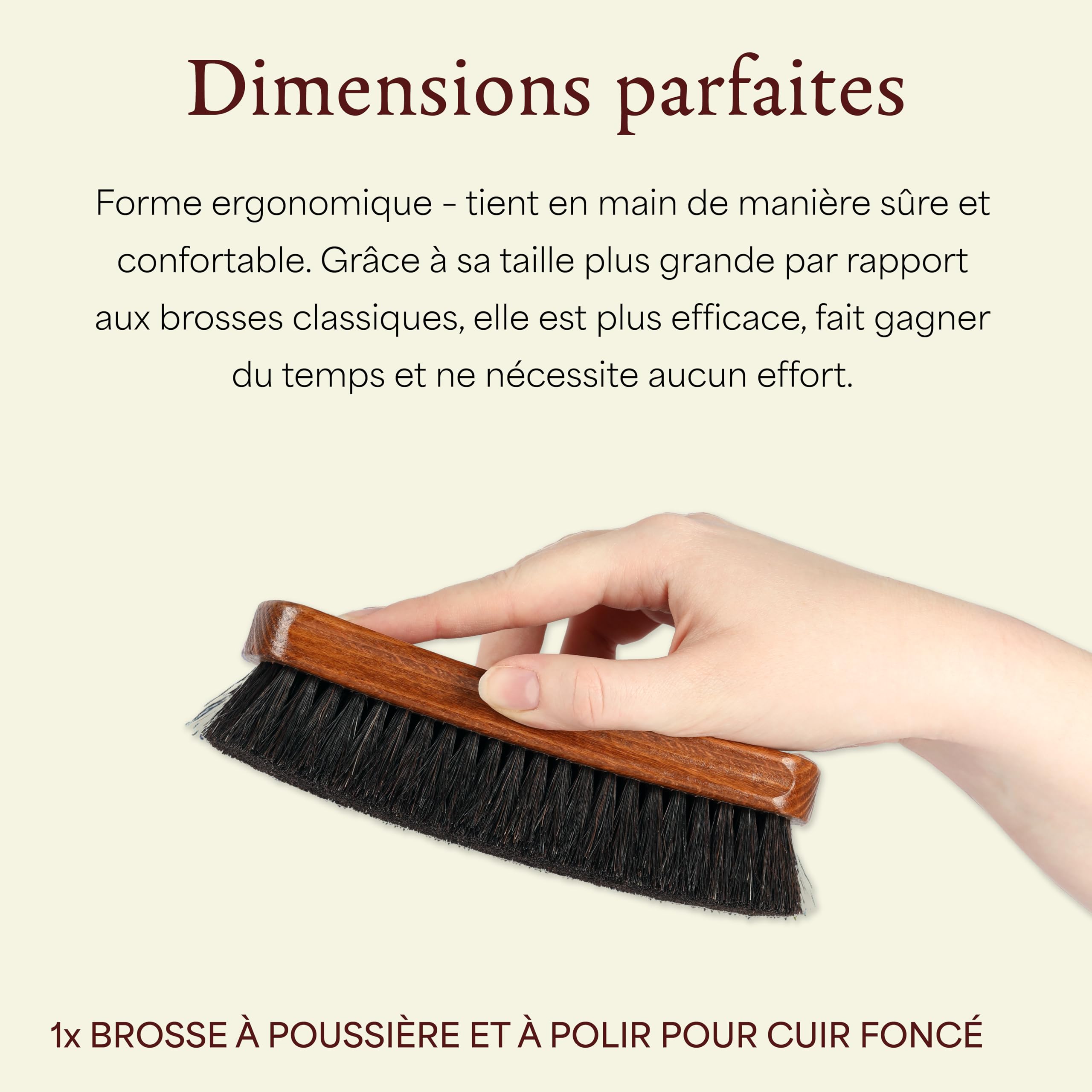Langer & Messmer Brosse à Chaussures en CRIN de Cheval - Entretien Professionnel des Chaussures