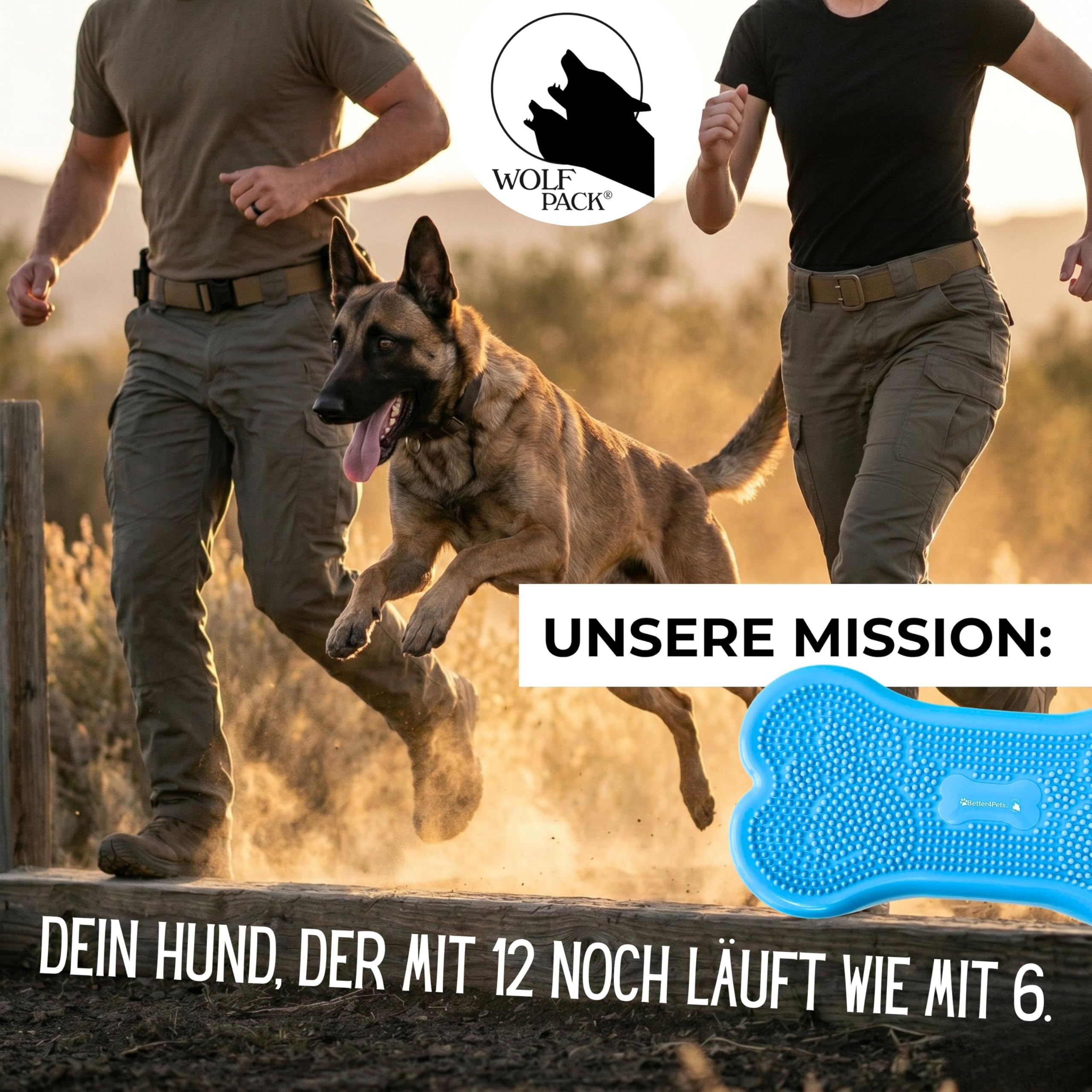 Wolfpack® Fitness Dog Bone – Balance Pad & Physio Wackelkissen für kleine & große Hunde – krallenfestes Trainingsgerät & Balancekissen | Better4Pets-Edition (Blue)