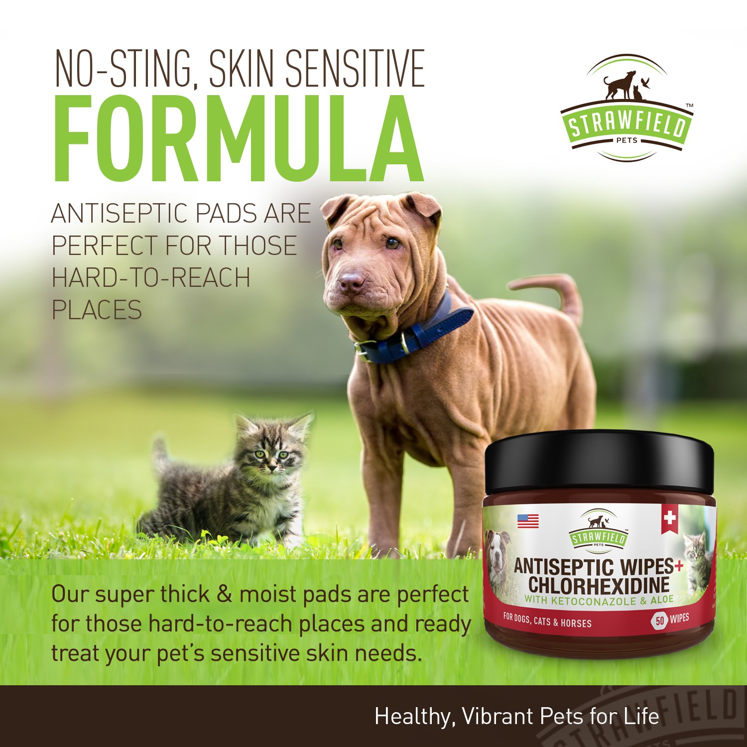 chlorhexidine pet wipes