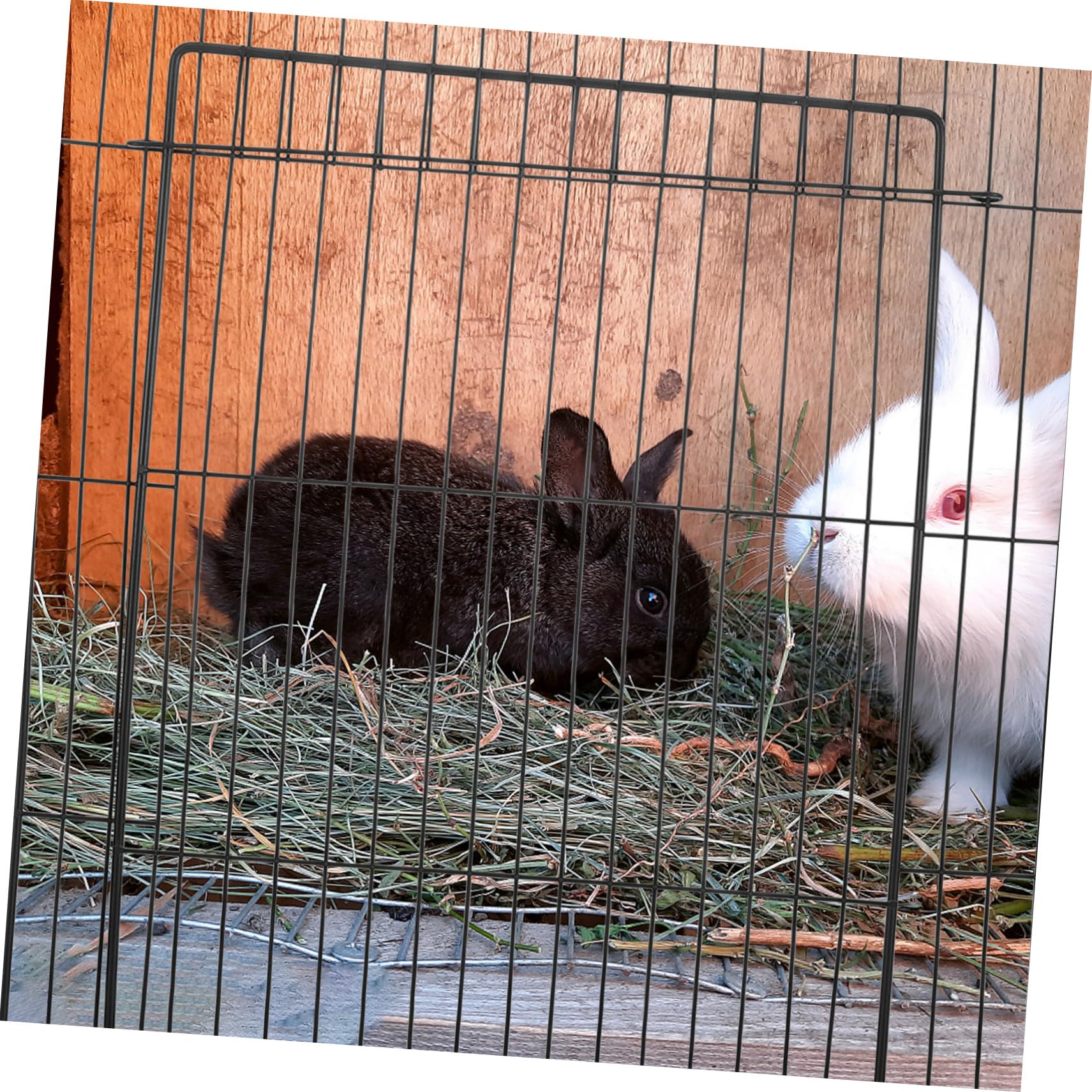 Rete per con Apertura Accessorio Versatile per Gabbie e Recinti Sicurezza per e Grandi Animali Facile da Montare e Compatibile con Box Espandibili