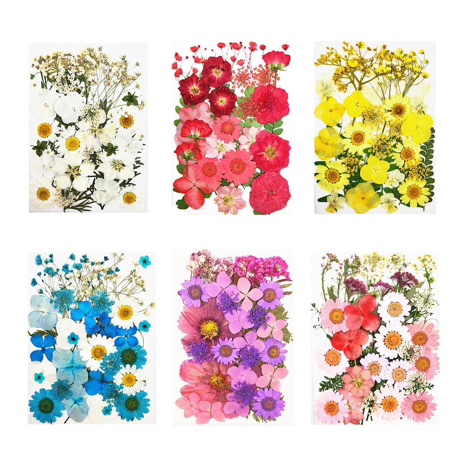 CALANDIS® Real Dried Flowers Petals Art Craft Epoxy Resin Jewelery Soap Making White-image-45