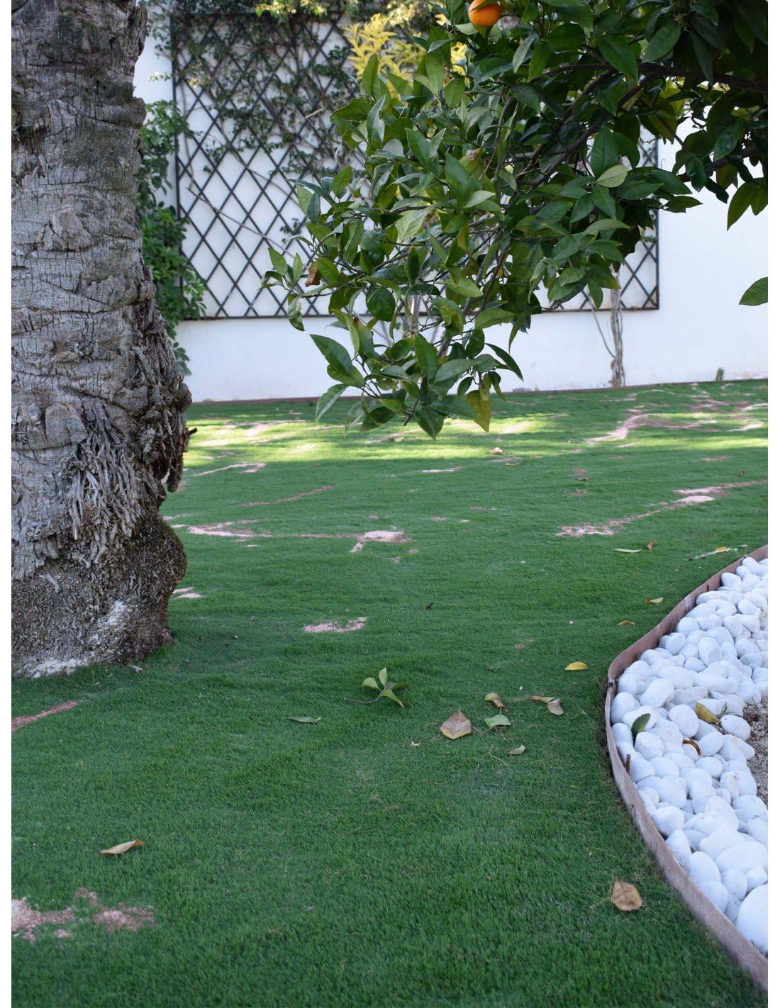 Jardin202 - Arena de Sílice para Cesped Artificial | Sacos Arena 25 kg para Pavimentos Deportivos | Granulometria 02/06 | 5 Sacos de 25 kg = 125 kg -