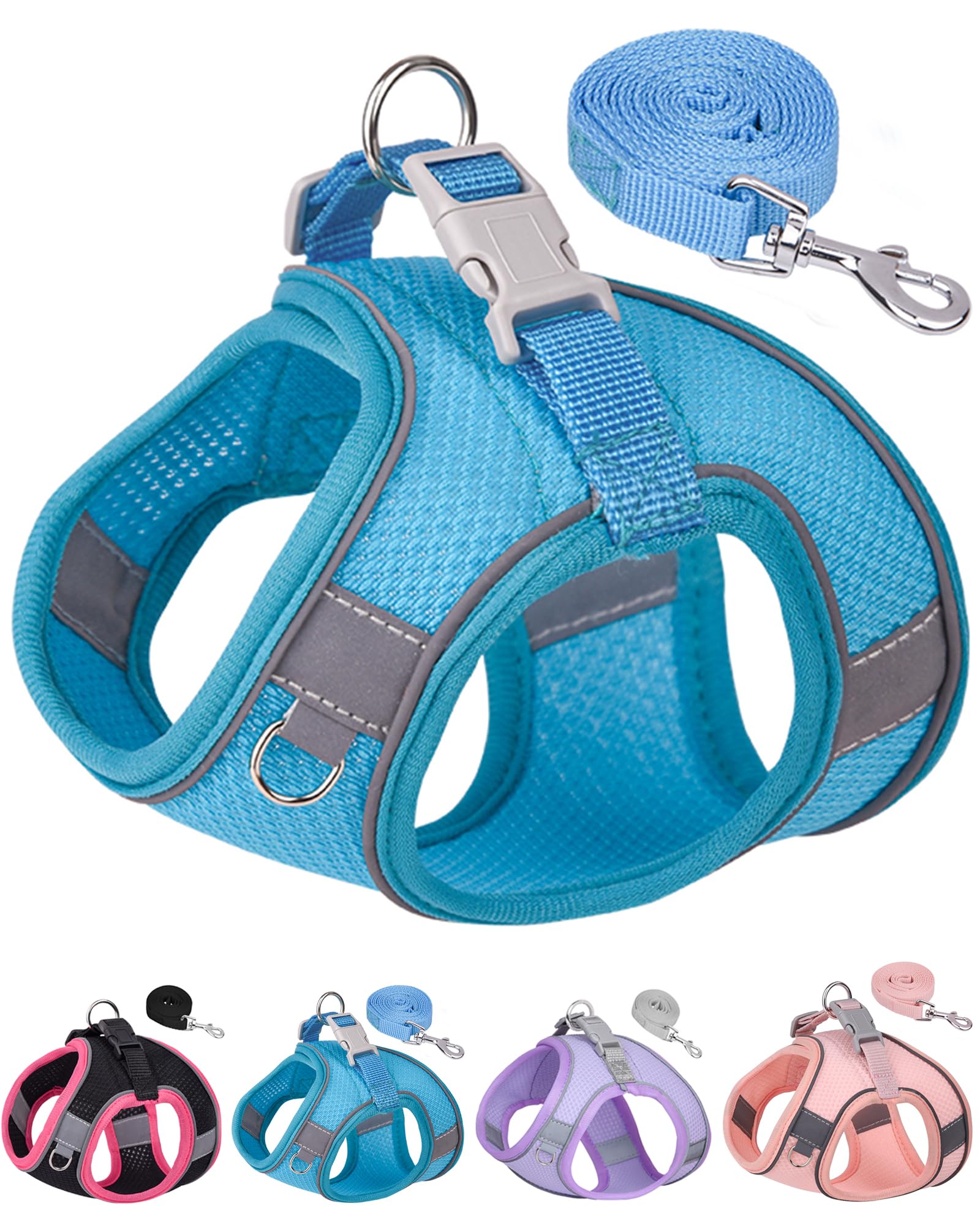 Aecllcea Dog Harness for Small Medium Sized Dog, Step in Puppy Harness and Leash Set Training Walking (Blue, XS)