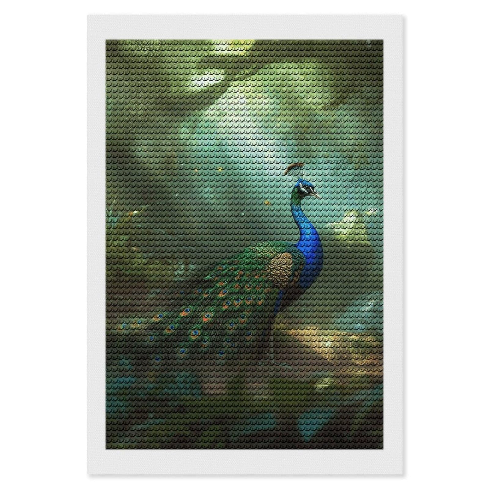 NONHAI Diamond Painting Kits for Adults - DIY Diamond Art Kits for Beginners - Full 5D Paint Drill Diamond Dots Paintings- Peacock Diamonds Pictures Gem Art and Craft Wall Decor 8"x12"