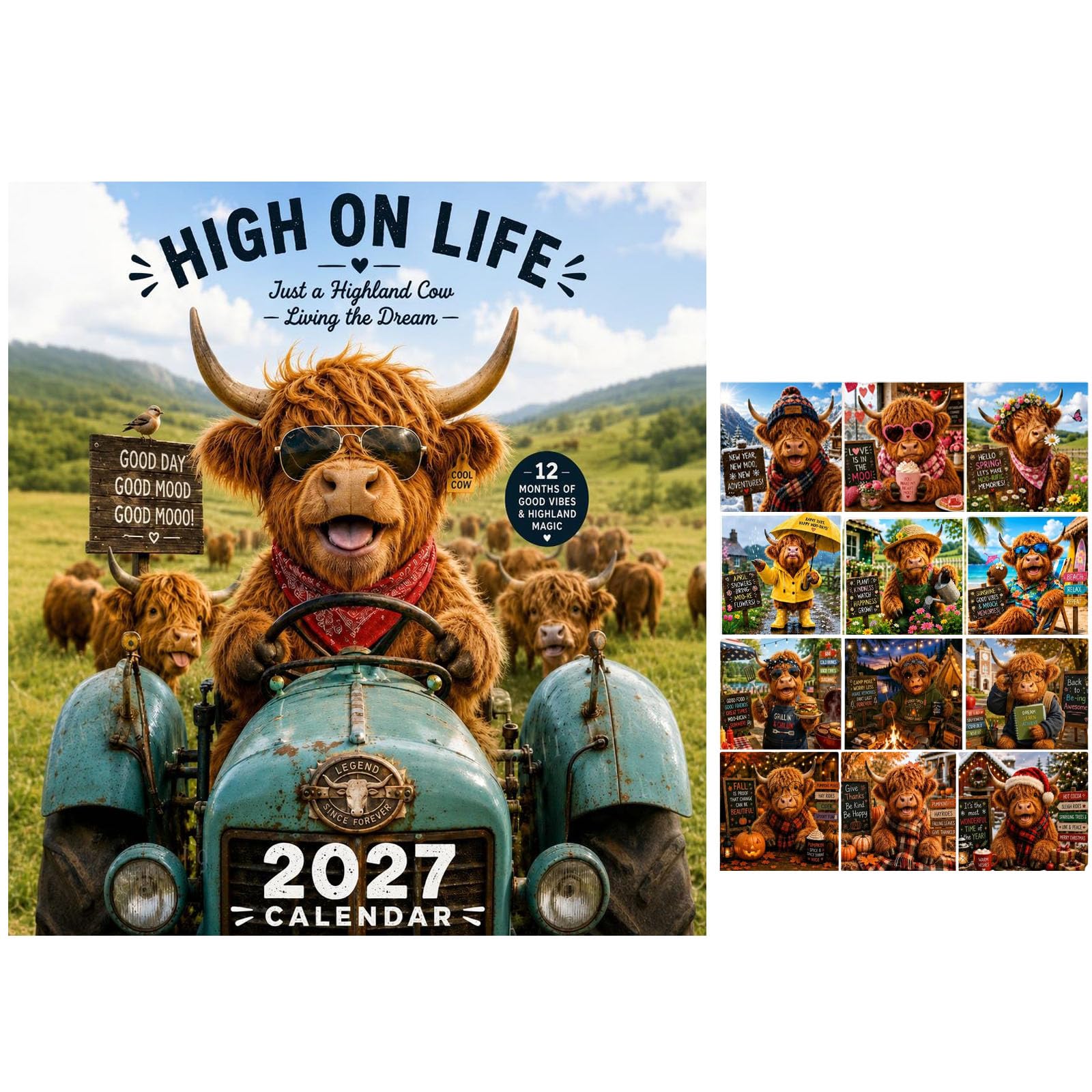 2027 Funny Highland Cow Wall Calendar A4 Hanging Calendar (B)