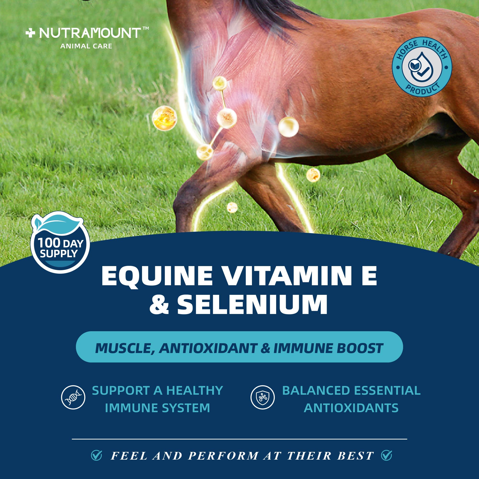 Horse Vitamin E & Selenium Supplement Powder – Natural Vitamin E 24% & Yeast Selenium – Daily Equine Antioxidant & Muscle Support – 100 Day Supply — Amazon image 2