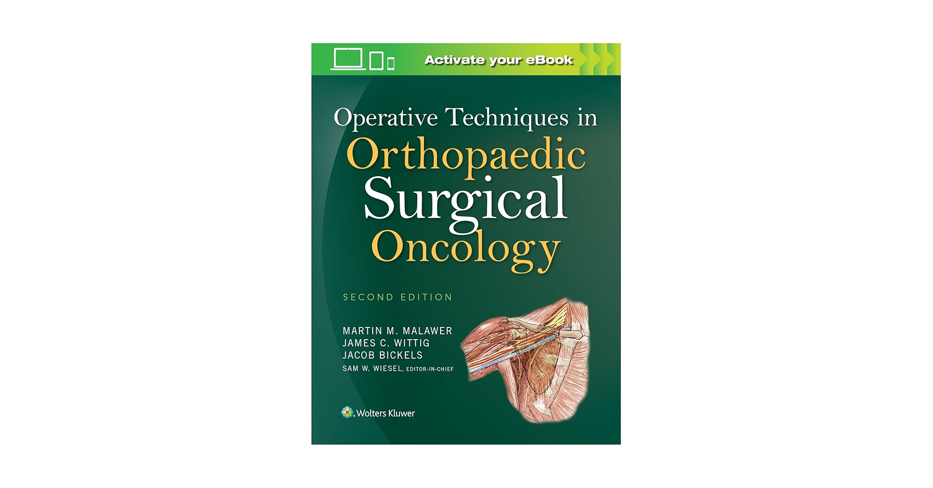 医学書 腫瘍外科分野 Orthopaedic Surgical Oncology Operative Techniques in Orthopaedic Surgical Oncology