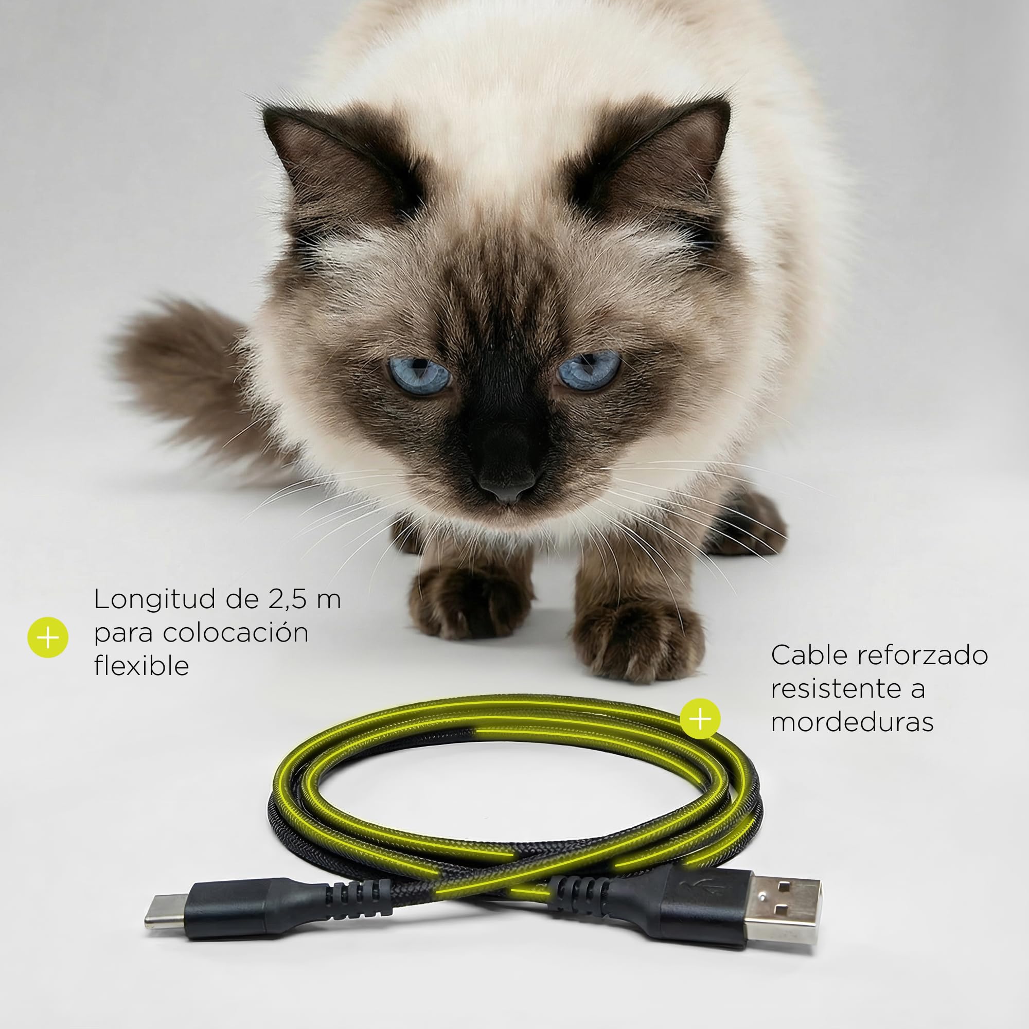Crispy Comedero Automático para Perro, Dispensador de Comida Programable con Temporizador, sin App Fácil, LCD, USB-C con Pilas de Respaldo, Cuenco Acero Inoxidable, 4,5 L, 2 Deshumidificadores