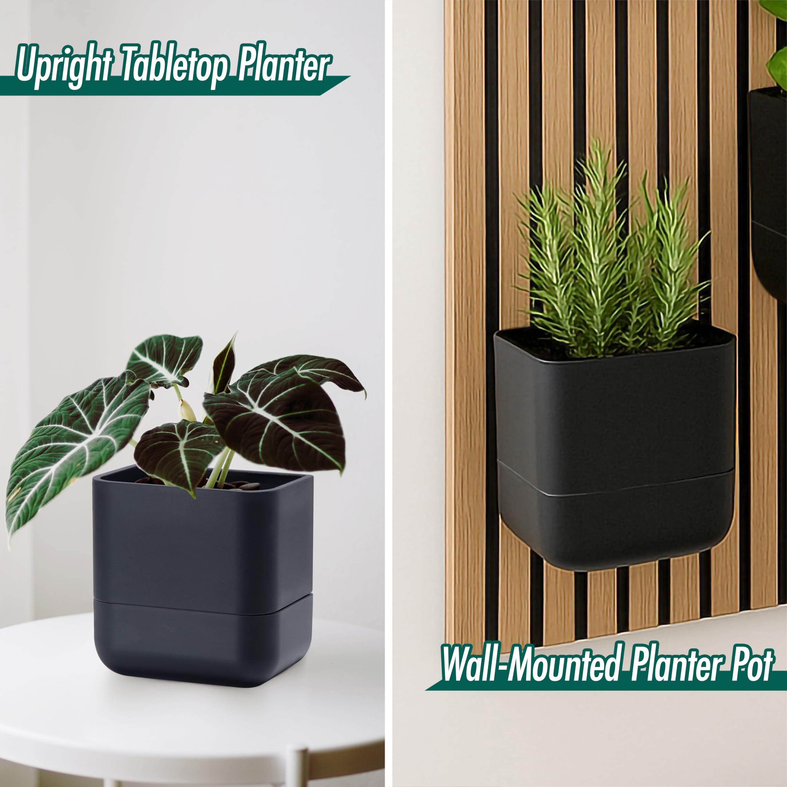 Phoenix Vine 6.5-Inch Wall Mounted Self-Watering Planter – Set Of 3, Black, For Indoor Plants & Herbs