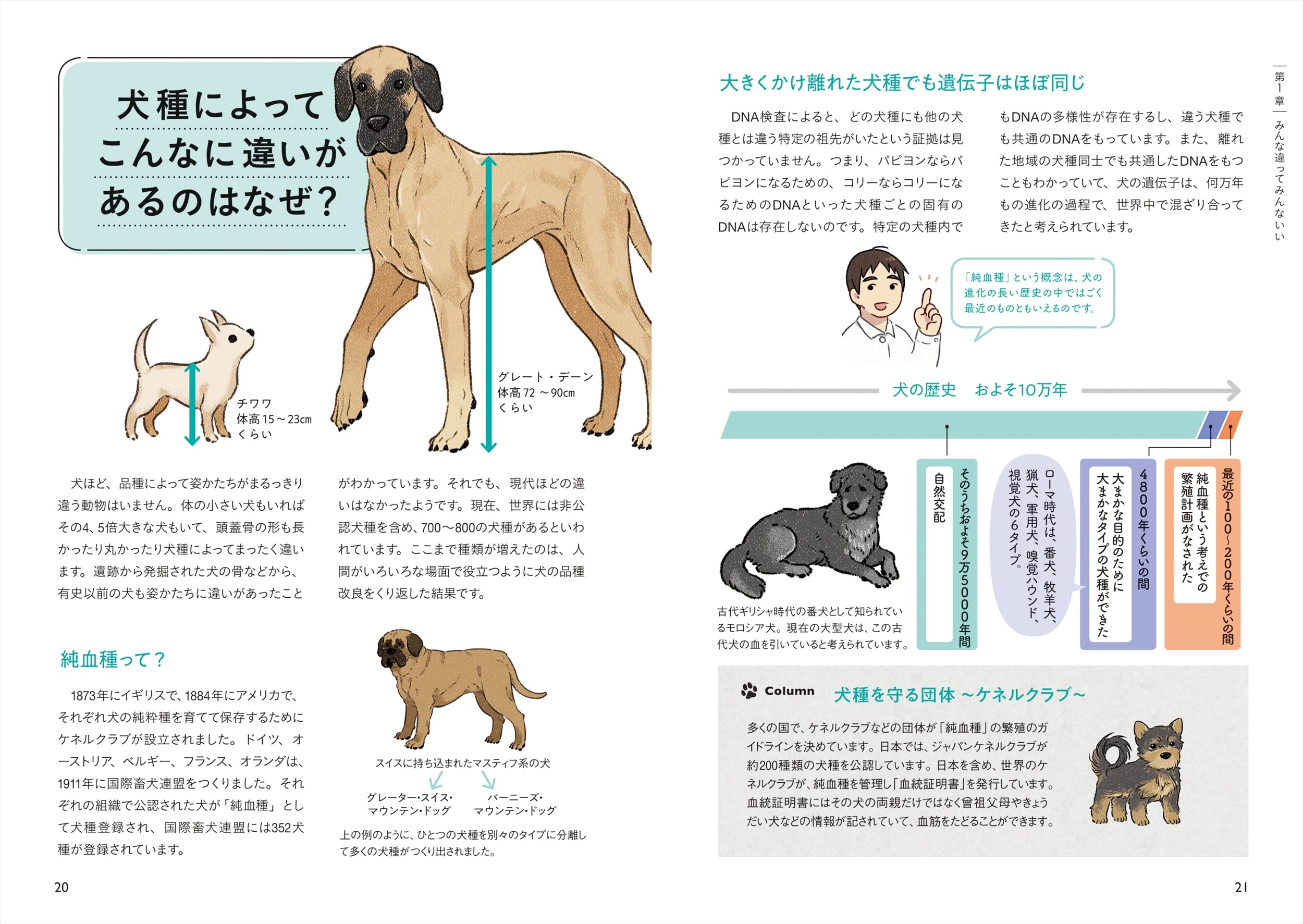 気持ちを知ればもっと好きになる 犬の教科書 増田 宏司 本 通販 Amazon 気持ちを知ればもっと好きになる 犬の教科書 増田 宏司 本 通販 Amazon