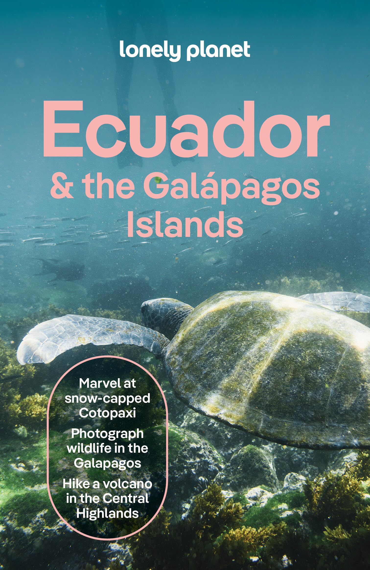 Lonely Planet Ecuador & the Galapagos Islands (Travel Guide)