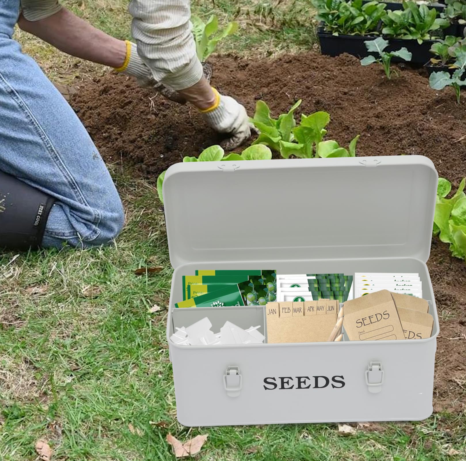 Cajas de Semillas Caja de Almacenamiento Semilla,Contenedores Almacenamiento Metálicos Contenedores Clasificación Sobres Semilla, Caja Semillas Jardín Con Cierre Seguridad 33×18×13cm Blanco