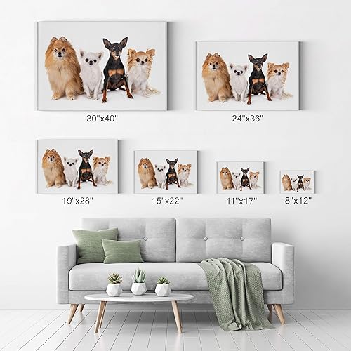 Vista 14 de Smile Art Design Border Collie Bulldog Rottweiler Cachorro Persa Gatito Animal Lienzo Impresión Arte de Pared Pet Cat Dog Lover Sala Dormitorio