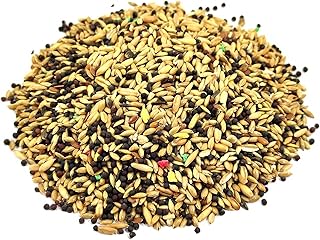 Alimento Mezcla 100gr de Semillas Tipo 2 para Hormigas Reinas granívoras┃Colonia de Hormigas