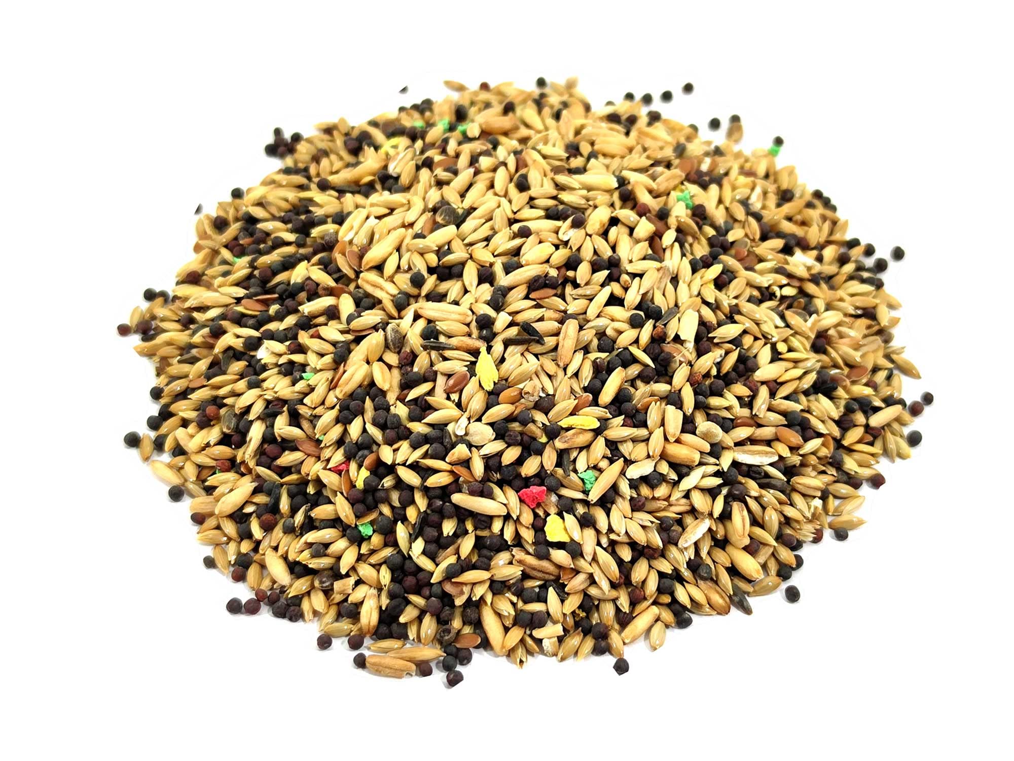 Alimento Mezcla 100gr de Semillas Tipo 2 para Hormigas Reinas granívoras┃Colonia de Hormigas