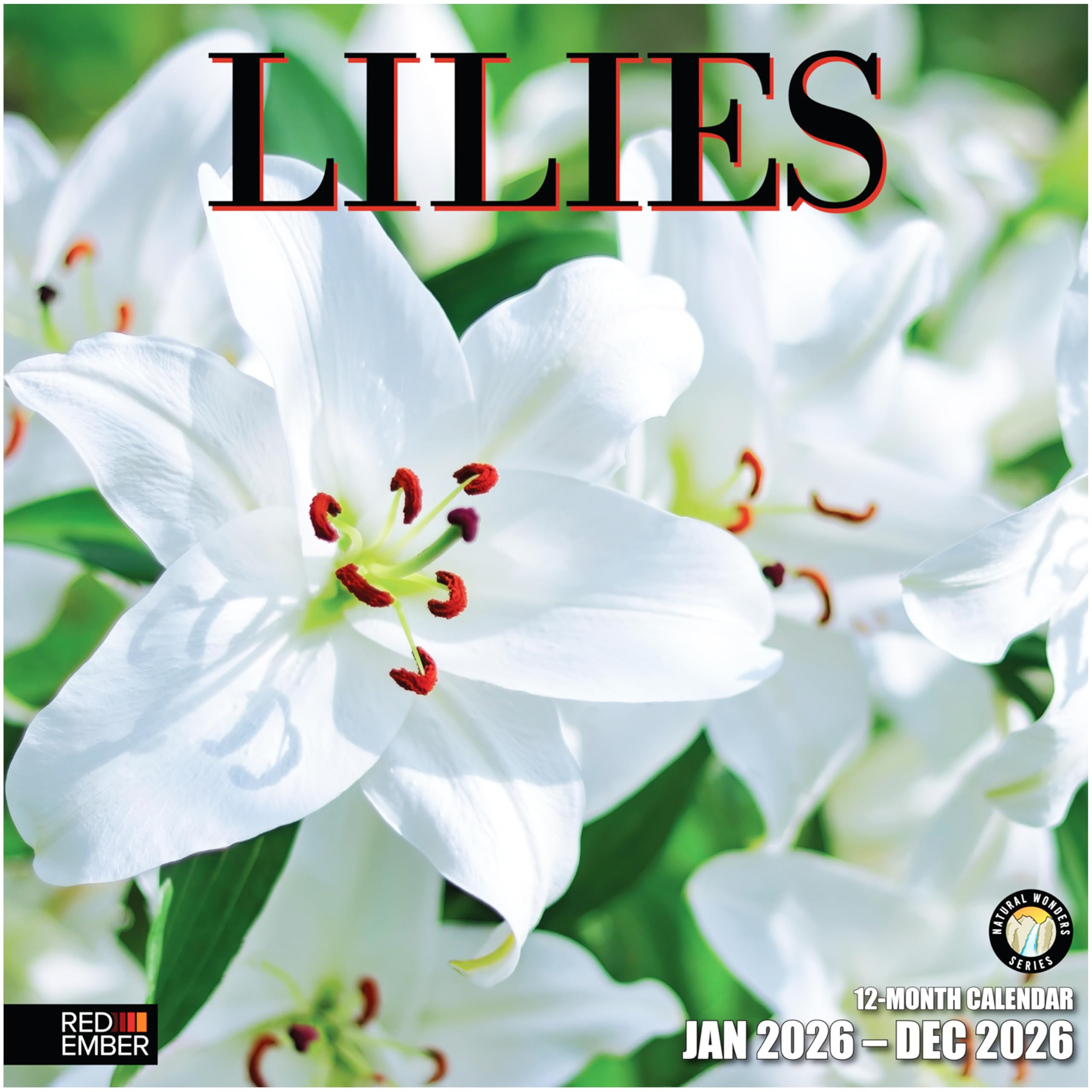 RED EMBER Lilies 2026 Wall Calendar 12 Month | 12" x 24" Open | Thick & Sturdy Paper | Giftable | Flower Nature Calendar 2026