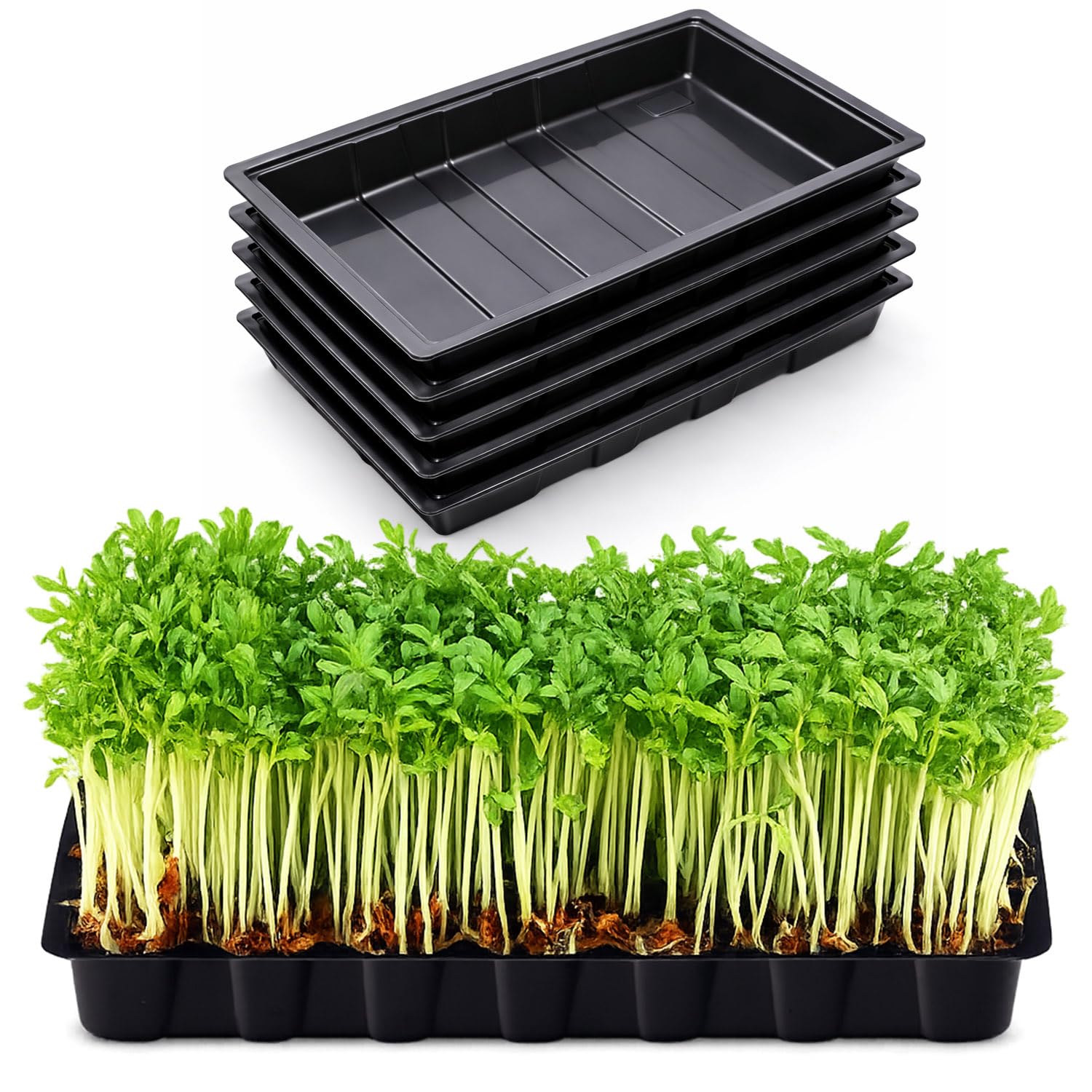 Greenfields 5 x Multipurpose Garden Seed Trays Without Holes, Durable Plastic Base Trays for Propagation, Germination, Potting & Transplanting, Leak Proof Plant Trays for Indoor & Outdoor Gardening