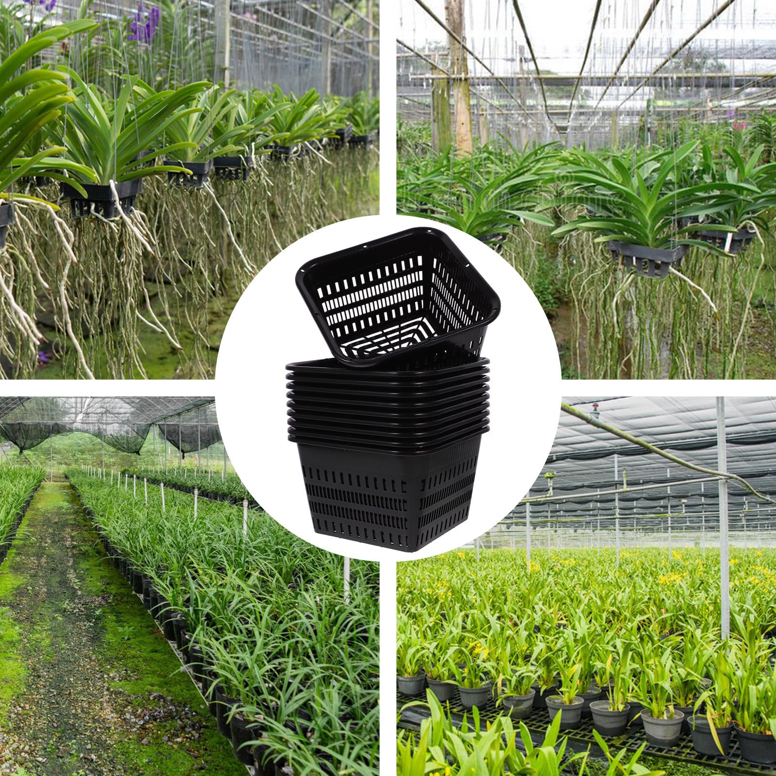Gadpiparty 10 Pièces Pot à Orchidées en Plastique Noir Contrôle des Racines, sans Bavures, Plantation Rempotage des Plantes D'intérieur et D'extérieur