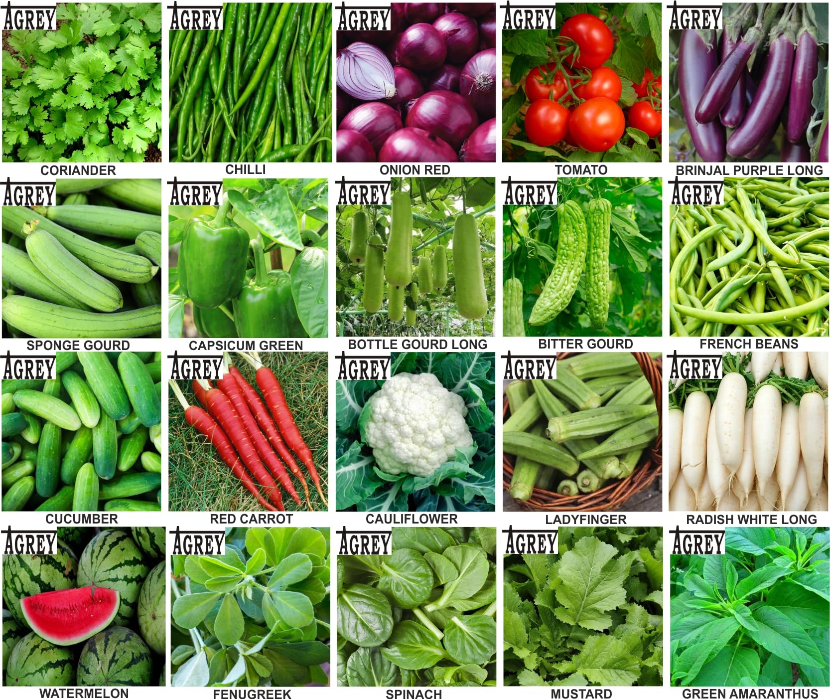 Agrey combo of 20 variety vegetable seeds with Manual. (B0CSWPLM2W) Amazon Price History, Amazon Price Tracker