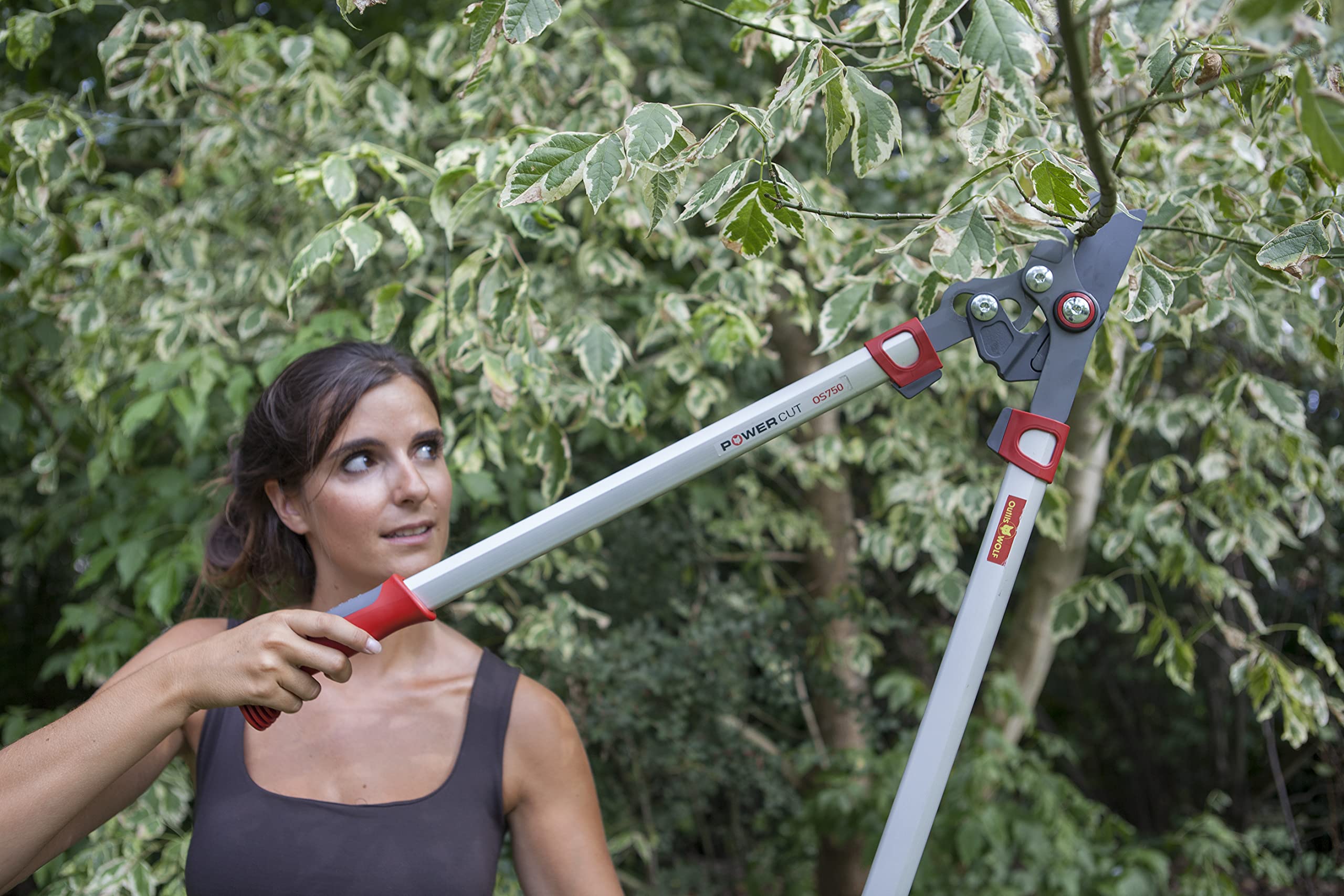 OUTILS WOLF OR750 Podadora de Corte Mixto y Poda Telescópica - Powercut Or650 - Or750 - Or900T (75)