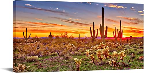 Kreative Arts Lienzo grande de una sola pieza para el desierto de Sonora de América del Norte al atardecer, impresión de imagen sobre lienzo de
