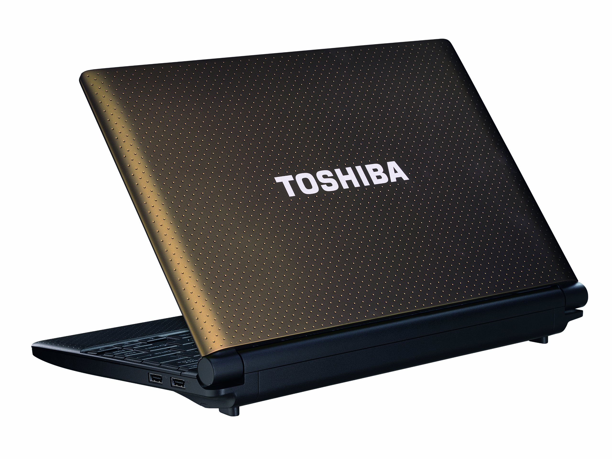 Toshiba NB500-11J 10.1 inch Netbook (Intel Atom N455, RAM 1GB, HDD