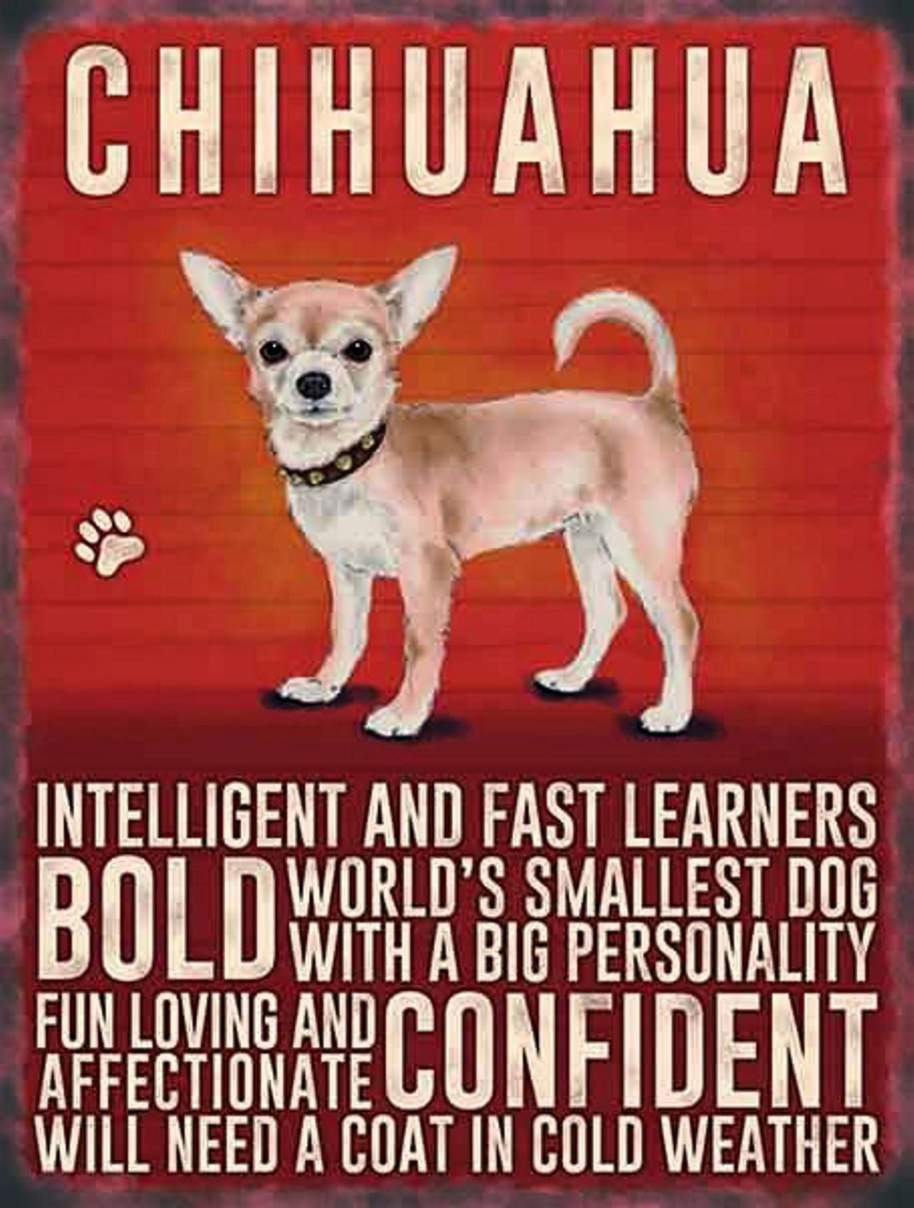 Vintage Style Retro Metal Sign Dog Lovers Owners Gift Tin Pedigree Dogs CHIHUAHUA