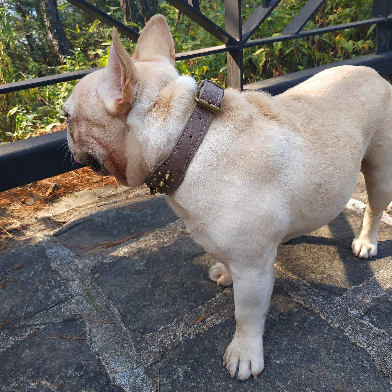Hifrenchies Hundehalsband Mit Nieten – Verstellbar, Mikrofaser-Leder, Für Französische Bulldoggen & Mehr