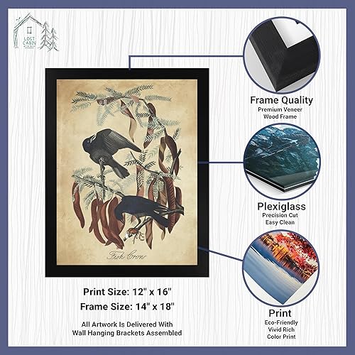 Miniatura 2 de Fish Crow por James Audubon - Marco biselado negro de 12 x 16 pulgadas  Decoración artística enmarcada para pared  Reproducción de pintura de arte