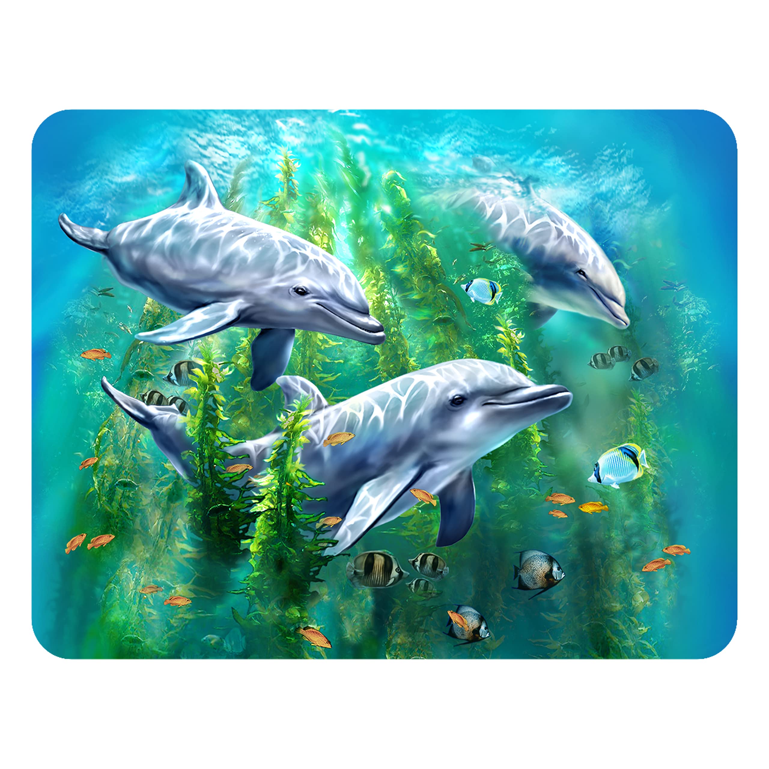 3D Livelife Dolphin Kelp Bed Magnet - From Deluxebase. Lenticular Ocean Fridge Magnet. Decorative 3D Dolphin Flat Magnets. Cute Small Magnets For Fridge, Dishwasher And Whiteboard.