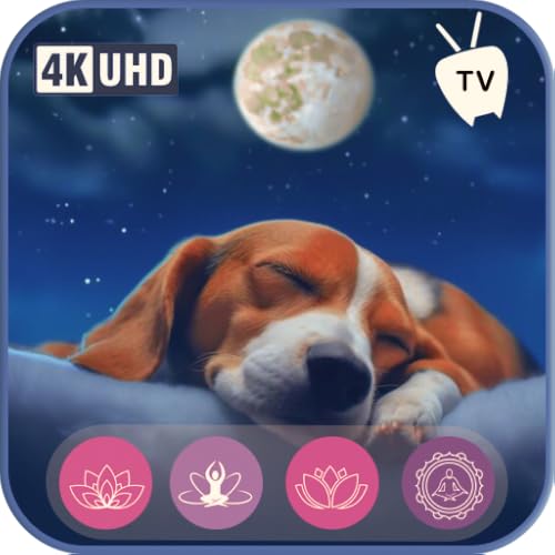 Melodías para Cachorros - Música Relajante para Perros para la Calma, el Estado de Ánimo y el Sueño