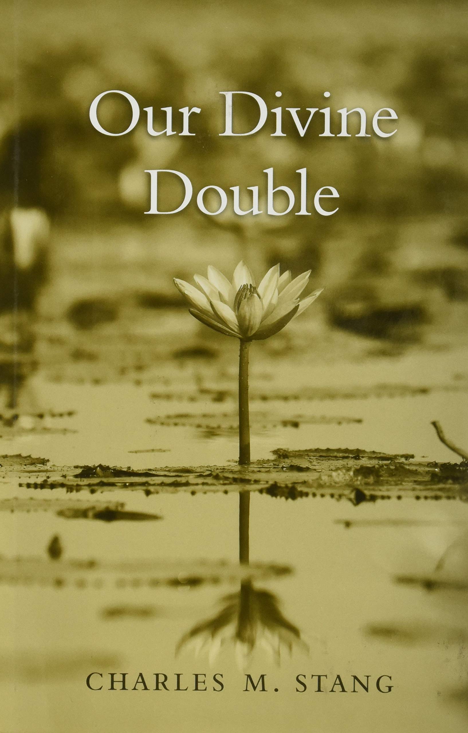 Our Divine Double by Charles M. Stang - 9780674287198