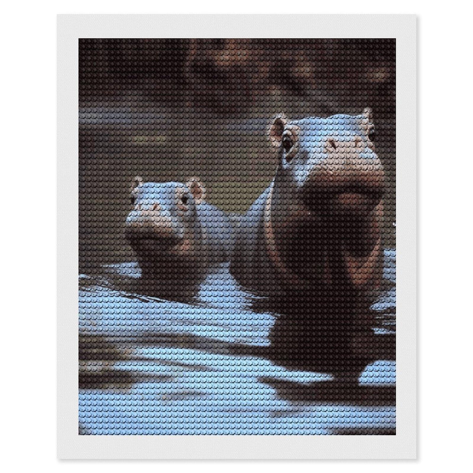 JTREHY Hippos Diamond Art Kits Personalized DIY Round Diamond Painting Kits for Beginner Full Drill Diamonds Dots Paintings for Adults Gem Art Crafts Home Decor