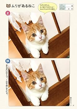 かすが【CD付】七田式能力開発CD2〜3歳(ねこ) 4〜5歳(くま)年中 2024年度版コース別おすすめ教材｜七田式公式通販