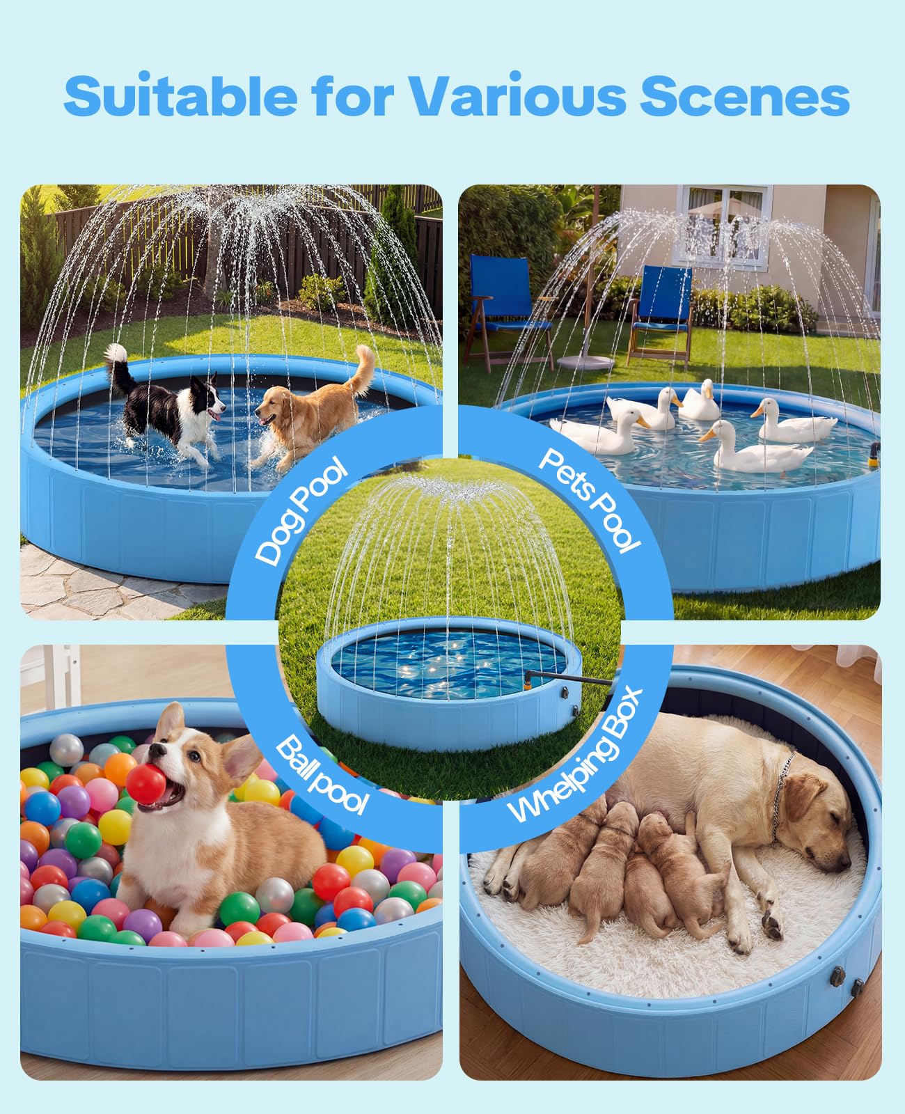 piscine chien de 160x30cm avec arroseur, Piscines Pliable pour Chiens de Grande Taille, 2-in-1 antidérapante piscine pour chien, piscine chien rigide idéale pour une utilisation dans un jardin