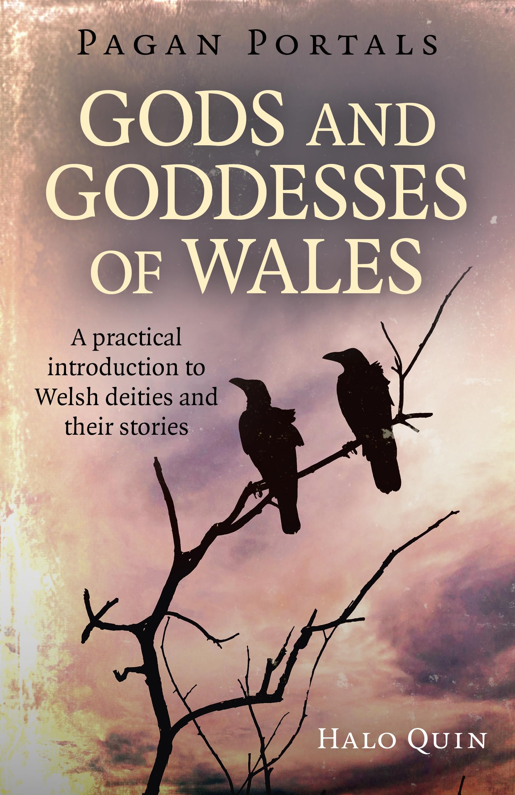 Pagan Portals - Gods and Goddesses of Wales: A practical introduction to Welsh deities and their stories