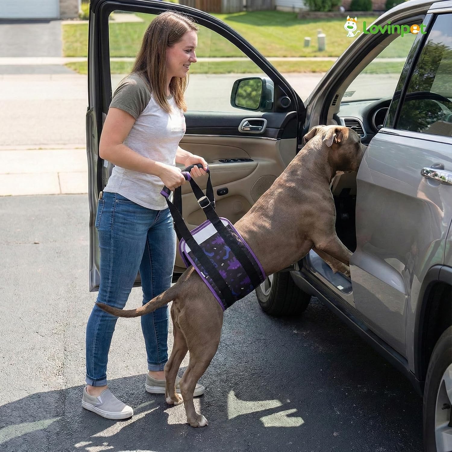 LovinPet Adjustable Dog Lift Harness for Medium & Large Breeds, 3-Layer Rear Support Sling with Padded Handles, Quiet Hook-and-Loop, Easy-On for Senior & Injured Pets – Dinosaur Print, Black