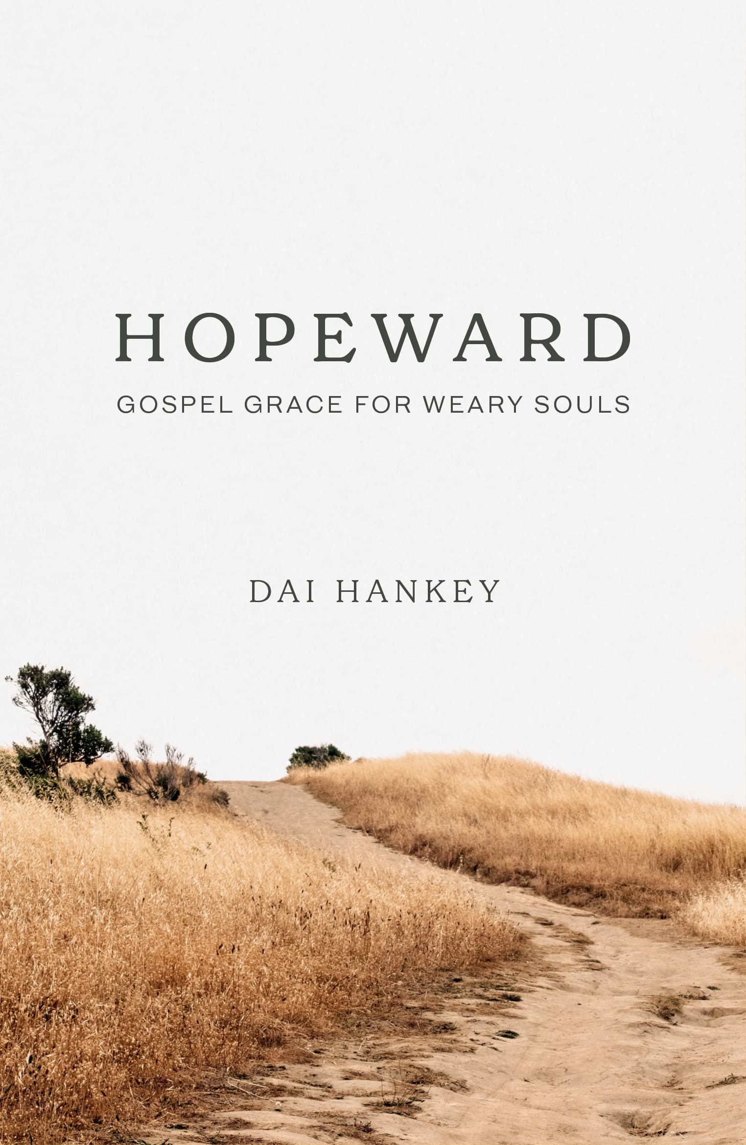 Hopeward: Gospel Grace for Weary Souls (Help for Christians who feel like giving up, stressed, burnt out, discouraged)