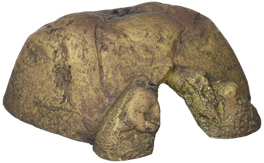 爬虫類　用品　シェルター　ケース Amazon | COZENTA 爬虫類 ケージ シェルター アクリル製 トカゲ