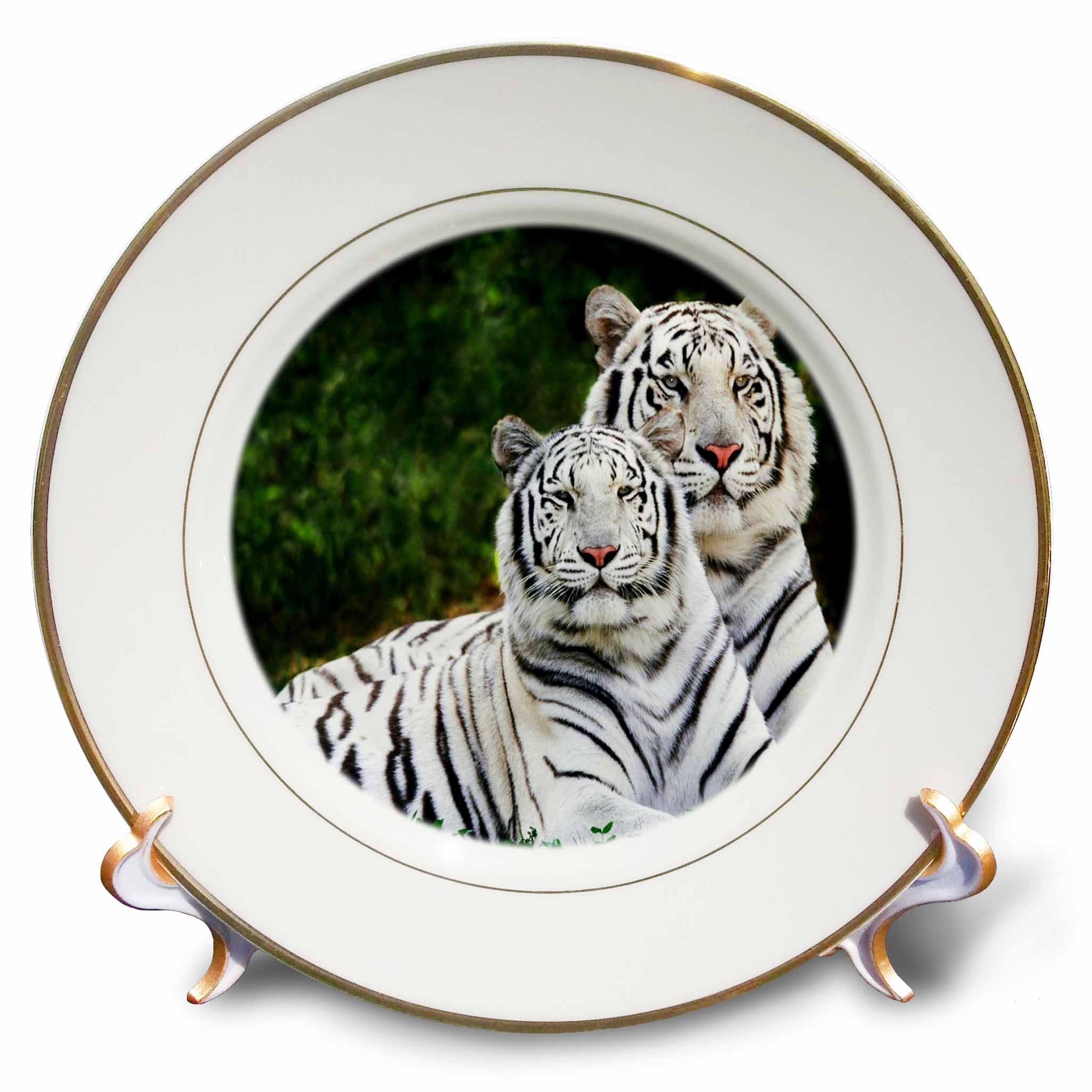 3dRose cp_54187_1 White Tigers Porcelain Plate, 8-Inch