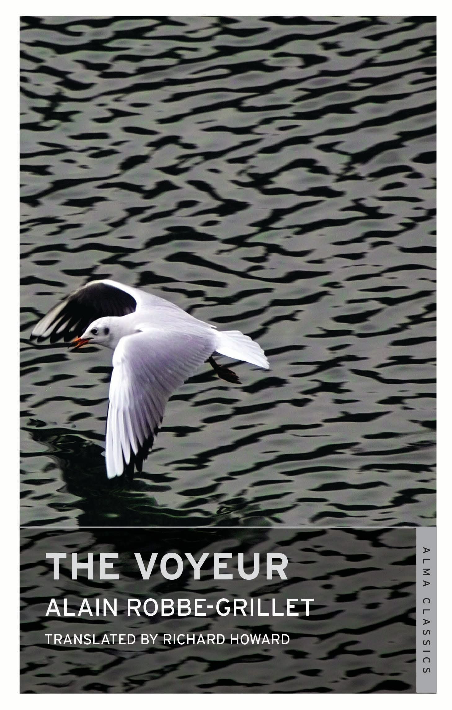 The Voyeur