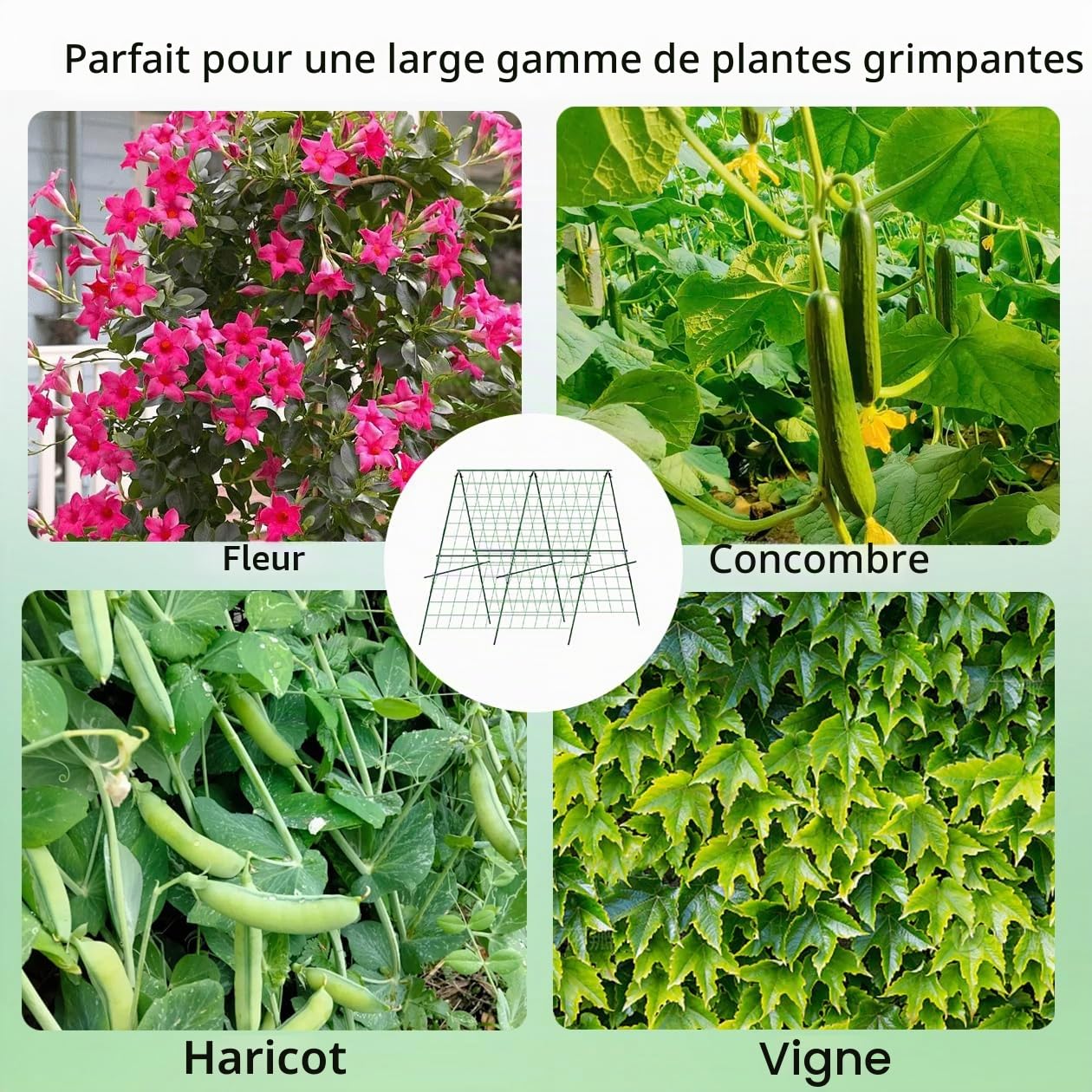 Kit de tuteur de concombre, treillis de jardin, cages et supports pour plantes grimpantes, 120 cm, support pour plantes grimpantes, tuteur de jardin, concombre, tomates
