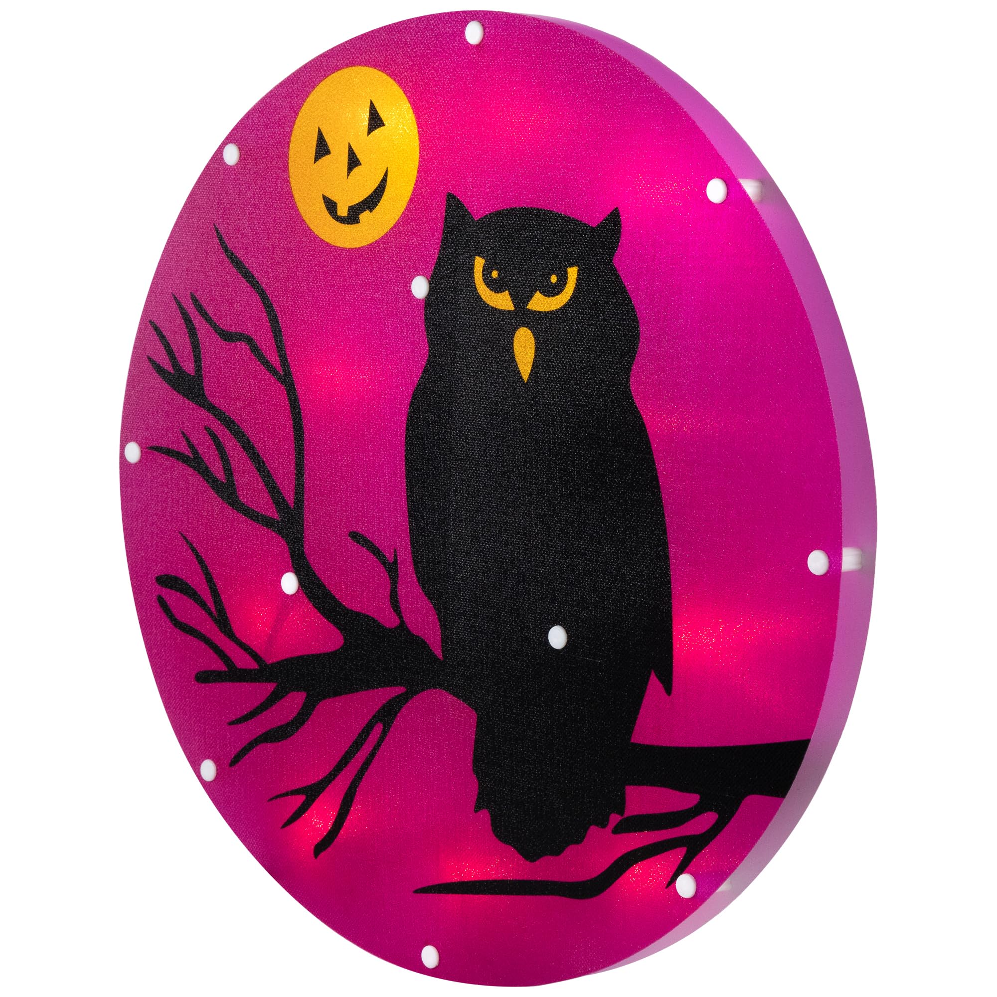 Amazon.com : Northlight Lighted Owl and Jack O' Lantern Halloween
