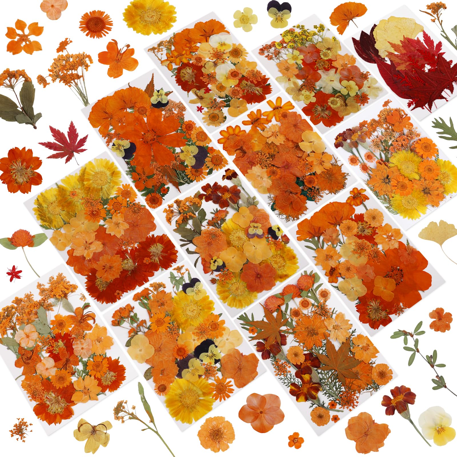 350 Pcs Fall Dried Flowers for Crafts,Real Nature Dried Flowers for Resin