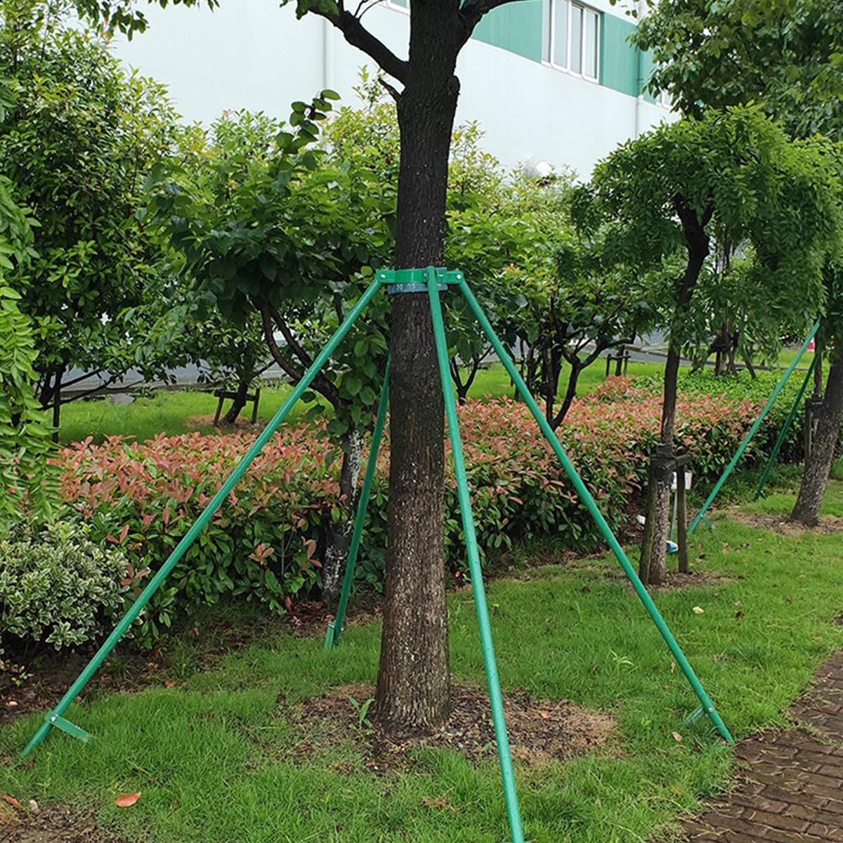 Kisangel Support d'arbre en Fer Rond Vert avec Vis, Fixation Facile pour Arbre en Extérieur, Diamètre 15 Cm, Tuteur Robuste pour Jardin