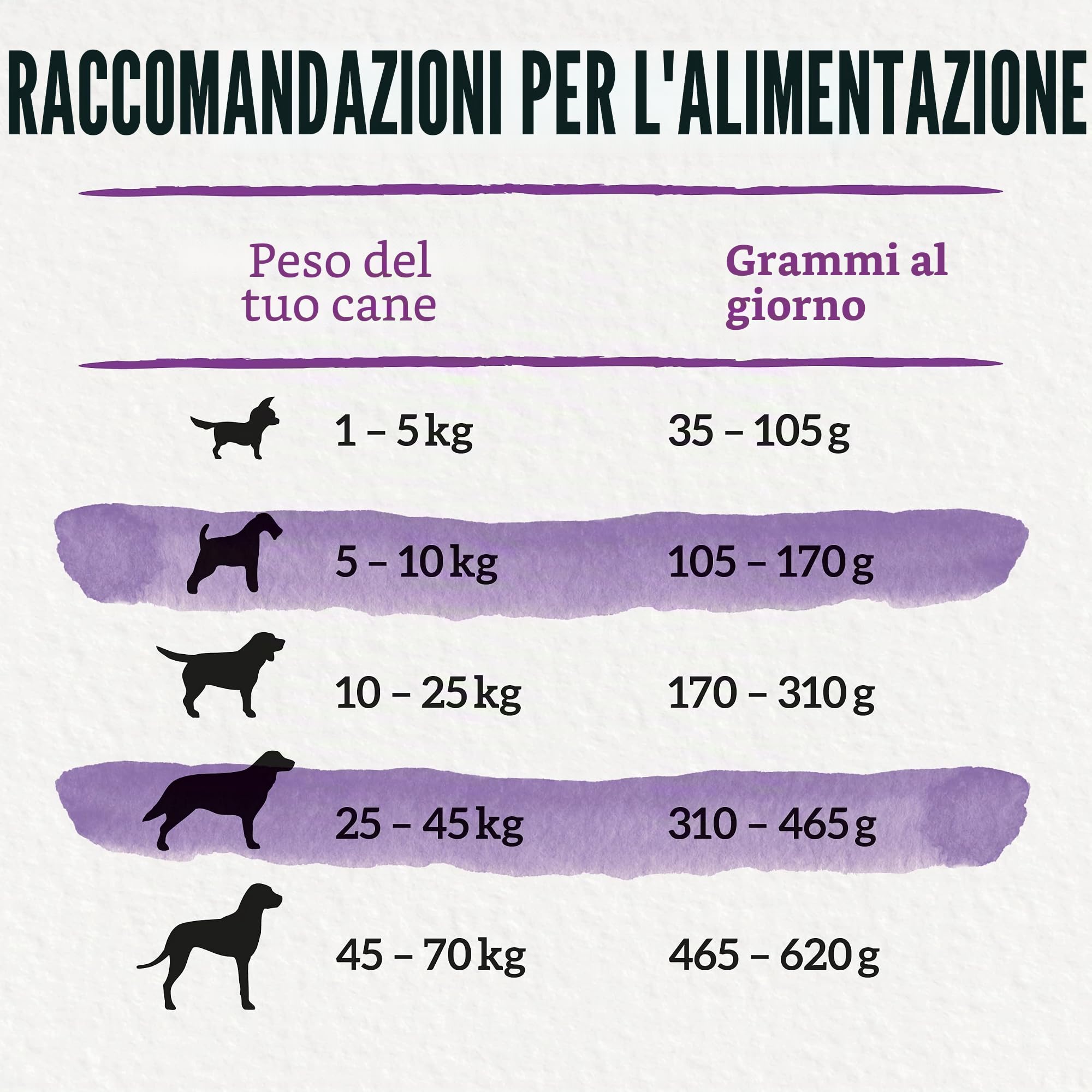Beneful Anni felici 7+ Senior cibo per cani secco, con pollo e verdure da giardino, confezione da 1 (1 x 12 kg)