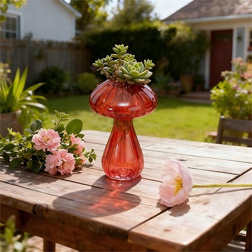 Miniatura 2 de Juego de 6 estaciones de propagación de plantas de colores, mini terrario para plantas,