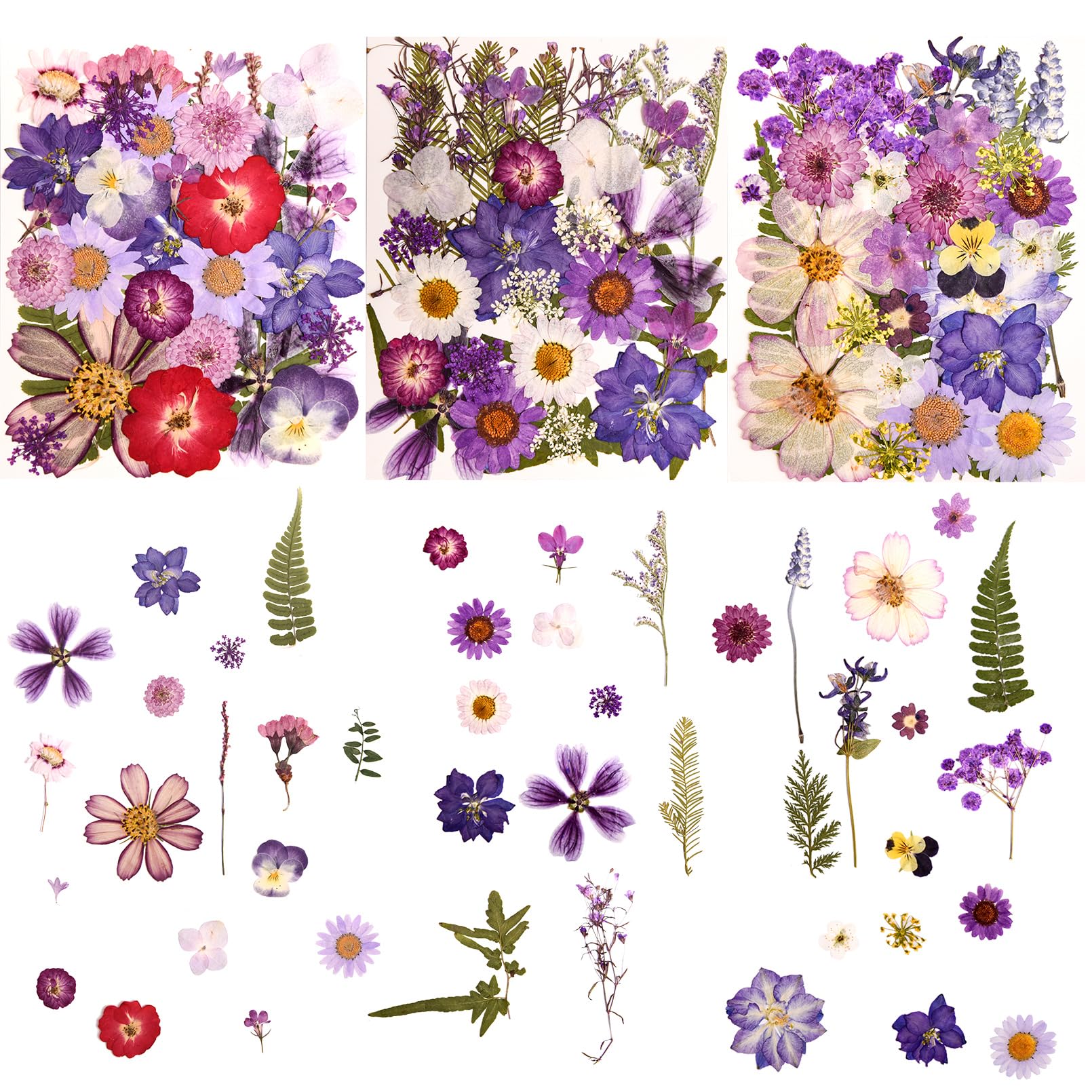 100 PCS Purple Pressed Dried Flowers and Leaves with Tweezers