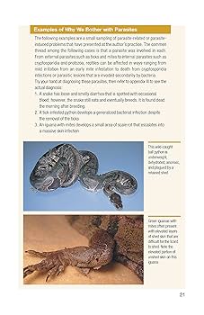 Understanding Reptile Parasites (Advanced Vivarium Systems