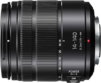 81g5-NtAmIL._AC_UF350,